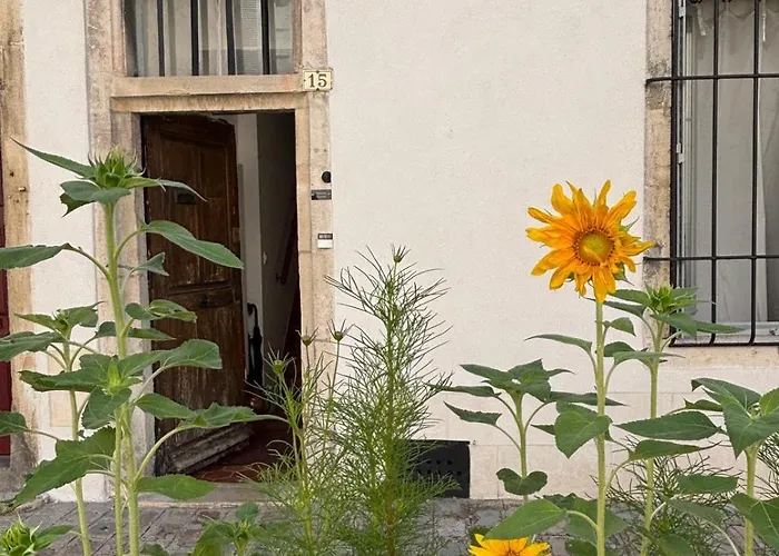 Maison Rinette Bed & Breakfast 3*